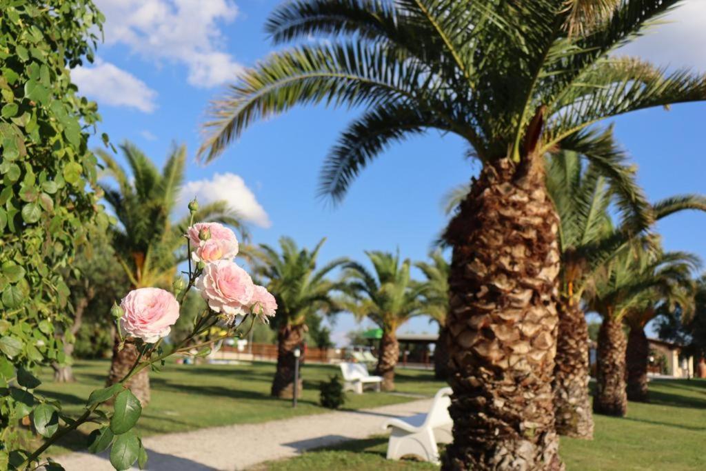 Agriturismo Il Casale Di Monica Rivotorto Kültér fotó